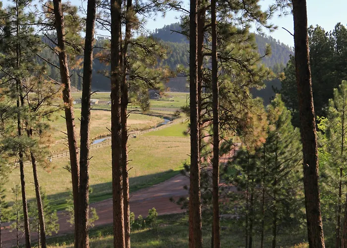 Mountain View Lodge & Cabins